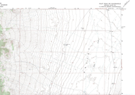 Pilot Peak SW, Nevada 1976 Vintage USGS Topo Map 7.5 Quadrangle Topographic - £17.91 GBP