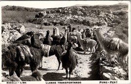 Peru Llama Transporting RPPC Real Photo Postcard J21 - £15.77 GBP