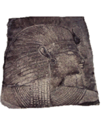 A-130 GRAY Concrete Stain Concentrate  4 oz. =  20 oz. Water Based Stain - $19.00