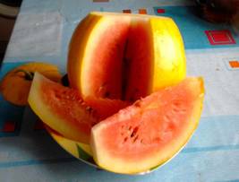 Watermelon &#39;Gift of the Sun&#39; Yellow Skin Red Inside Fruit, 20 Seeds - £8.22 GBP