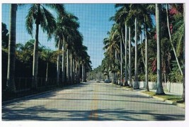 Florida Postcard Fort Myers Avenue of Palms Edison Winter Home - $2.17