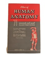 Atlas of Human Anatomy 71 Accurate &amp; Vivid Illustrations Barnes &amp; Noble ... - £19.90 GBP