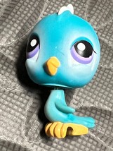 Littlest Pet Shop Blue Bird Parakeet #206 Purple eye 206 Retired LPS Cak... - $192.23 MXN