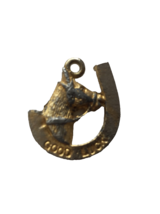 Costume Jewellery  Good Luck Horseshoe Pendant vtd - $5.32