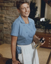 Ann B. Davis in The Brady Bunch smiling pose with cleaning spray 16x20 C... - $69.99