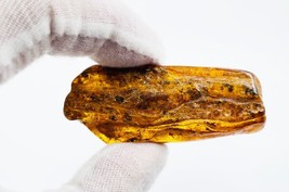 Natural Baltic Amber Stone Genuine Amber Piece gemstone amber raw stone - £117.68 GBP