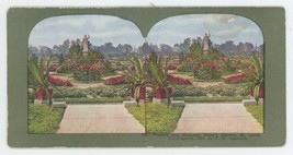 1898 Colorized Stereoview Flowers and Statuary Shaw&#39;s Garden St. Louis, MO - $12.19