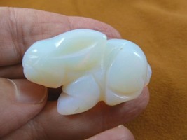 (Y-BUN-SI-570) lil White Opalite sitting BUNNY RABBIT gemstone carving g... - £10.95 GBP