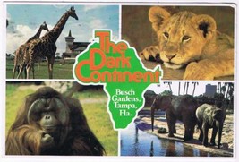 Postcard The Dark Continent Busch Gardens Tampa Florida - £2.32 GBP