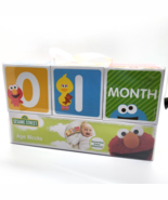 ~NEW! Sesame Street Age Blocks 2016 Elmo Cookie Monster Big Bird 2 3/4&quot; ... - $24.36 CAD