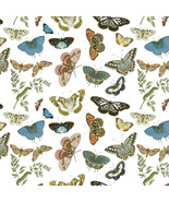 24x30&quot; Butterfly &amp; Moths Roll Gift Wrapping Paper, Pre-cut Sheets, Made ... - €9,32 EUR