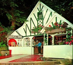 Coudersport Ice Mine Entrance 1950s Big Coca Cola Sign Coudersport PA Postcard - $3.91