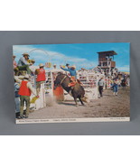 Vintage Postcard - Bull Riding Calgary Stampede - Alex Wilson Publications - $15.00