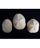 Two Sea Biscuits 4 - 5&quot; giant seashells sand dollar beach decor wedding ... - $464.89 MXN