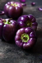 100 Seeds Purple Beauty Pepper to Plant Versatile Pepper for Eating or Seasoning - £13.82 GBP