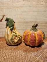 Pumpkin and Gourd Salt and Pepper Shakers Hand Painted - $14.74