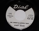 Steff Sulke Oh What A Lovely Day Broken Dreams 45 Rpm Record Dial 4062 P... - $49.99