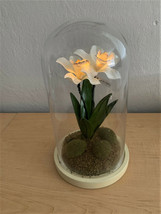 Bethlehem White Orchid in Bell Jar Battery Operated Lighted Plant 4 LEDs w/Timer - £7.78 GBP
