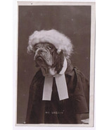 Postcard England UK Where Dog In Wig His Lordship - $19.79