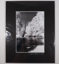 Black Mat Photo Landscape Park Infrared Photography Limited Ed 2/2 Signed Print - £33.25 GBP