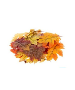 Silk Fall Leave 35pc Autumn Colorful Maple Leaf Home Table Decoration Se... - £10.28 GBP