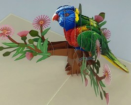 Lorikeet 3D Pop Up Card Birthday Bird Nature Feather Rainbow Aviary Mother&#39;s Day - £9.72 GBP