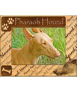 Pharaoh Hound Laser Engraved Wood Picture Frame Landscape (8 x 10) - $964.29 MXN