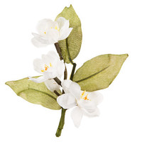 David Tutera Artificial Wedding Boutonniere White Blossoms With Green Le... - £16.36 GBP