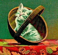 Adorable Cat Kitten in Basket Peek-a-Boo UNP Unused 1910s DB Postcard - £7.08 GBP