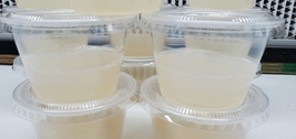 philodendron Plant Media Culturing Gel Cups Pre-Sterilized Ready To Use ... - $726.40 MXN+