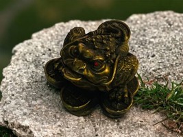 Old Chinese Solid Bronze Money Coin Toad Statue  / Solid Brass Money Frog READ - £46.15 GBP