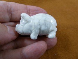 (Y-PIG-ST-584) White howlite PIG Piggy stone gemstone FIGURINE little PI... - £14.88 GBP