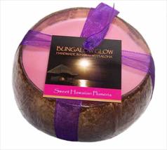 Bungalow Glow Large Sweet Plumeria Coconut Shell Candle | Bubble Shack Hawaii  - £26.62 GBP