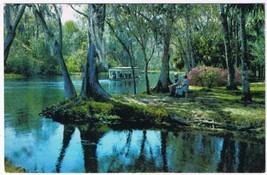 Florida Postcard Silver Springs Along The Silver River - £1.73 GBP