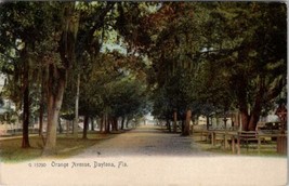 Tree Lined Orange Avenue with Daytona House Florida to Titusville Postcard Z15 - £7.60 GBP