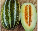 Thai Melon Vietnam Dua Gang Seed Musk Melon Long Muskmelon 20 Seeds - £2.17 GBP