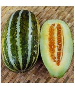 Thai Melon Vietnam Dua Gang Seed Musk Melon Long Muskmelon 20 Seeds - £2.20 GBP
