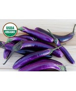 10 Organic Ping Tung Asia Eggplant Seed Tasty Asian Fresh Seeds - $15.65