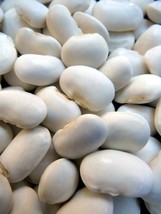 Moldovanesti Buffalo Bean ~  huge - and very rare -  white bean - £4.36 GBP