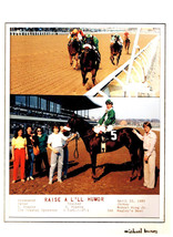 Winning Horse Race Photos (2) Raise A L&#39;ll Humor Wins Woodbine Racetrack Matte - $3.85