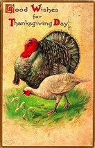 Good Wishes For Thanksgiving Turkeys Embossed 1908 DB Postcard - £4.85 GBP