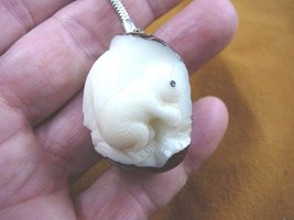 TNE-SQU-246B) Squirrel Nut Tagua Nut Figurine Carving Key Chain Ring Squirrels - £12.92 GBP