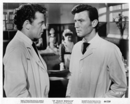 Laurence Harvey Of Human Bondage Original 8x10 Photo H7874 - £7.31 GBP