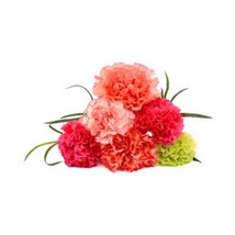 Beautiful Bouquet Of Colorful Carnation Flowers  5PCS Car Stickers for Bumper Cu - £46.18 GBP