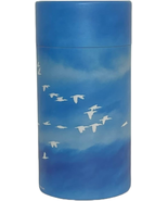 Scattering Tube, Biodegradable Cremation Urn for Ashes, Adults, Pets, Cr... - £29.17 GBP
