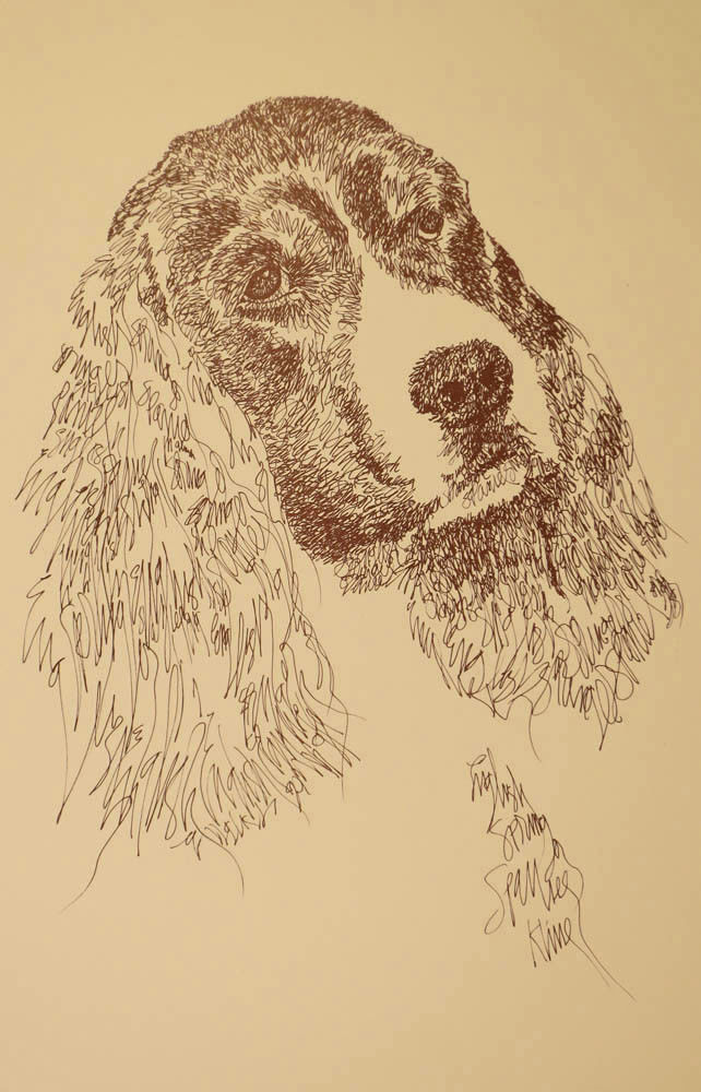 English Springer Spaniel Dog Art Portrait Print #48 Kline adds dog name free.