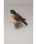 Baby Robin on Branch with Porcelain Figurine - £10.97 GBP