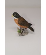 Baby Robin on Branch with Porcelain Figurine - $13.99