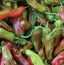 Italian Pepperoncini Pepper Seeds 50 Vegetable Mild Heat Pickling Garden... - £4.24 GBP