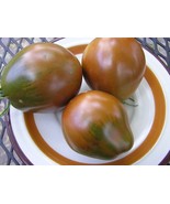Bedouin tomato seeds - £3.34 GBP